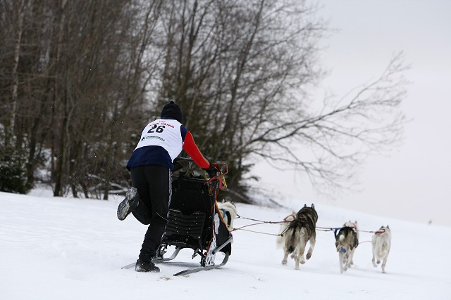 Kynologická revue - www.dogsk.sk