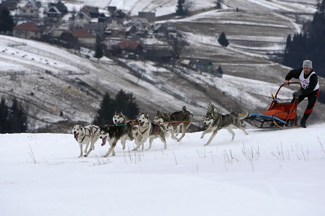 Kynologická revue - www.dogsk.sk