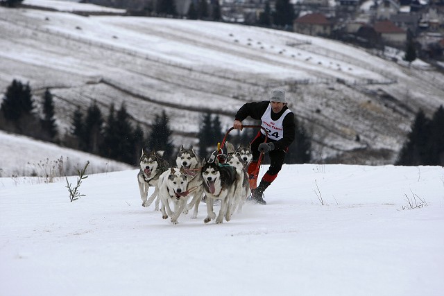 Kynologická revue - www.dogsk.sk