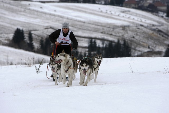 Kynologická revue - www.dogsk.sk
