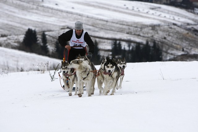Kynologická revue - www.dogsk.sk