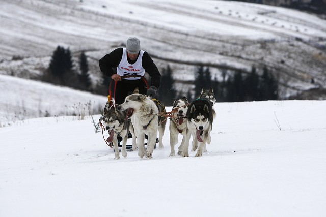 Kynologická revue - www.dogsk.sk