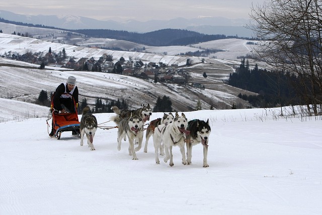 Kynologická revue - www.dogsk.sk