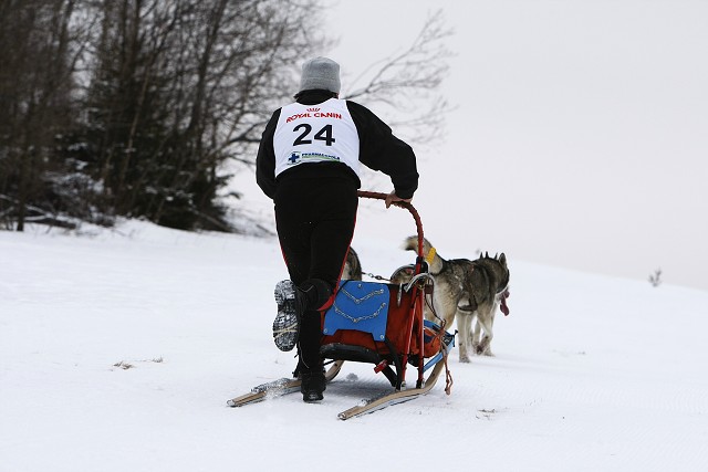 Kynologická revue - www.dogsk.sk