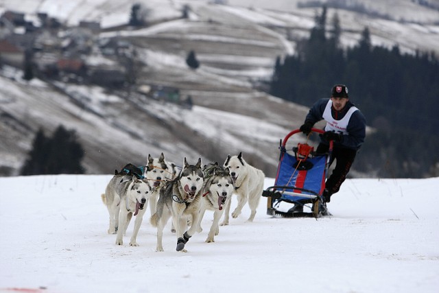 Kynologická revue - www.dogsk.sk