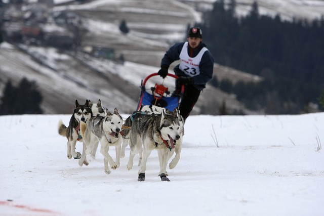 Kynologická revue - www.dogsk.sk