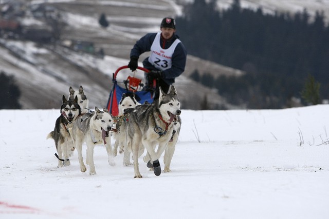 Kynologická revue - www.dogsk.sk