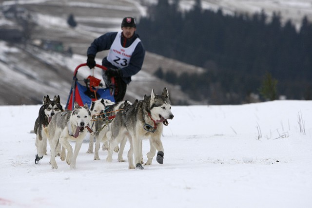 Kynologická revue - www.dogsk.sk