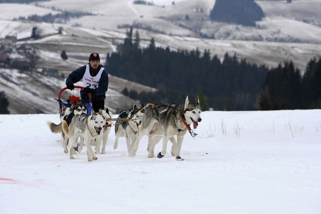 Kynologická revue - www.dogsk.sk