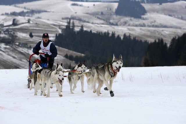 Kynologická revue - www.dogsk.sk