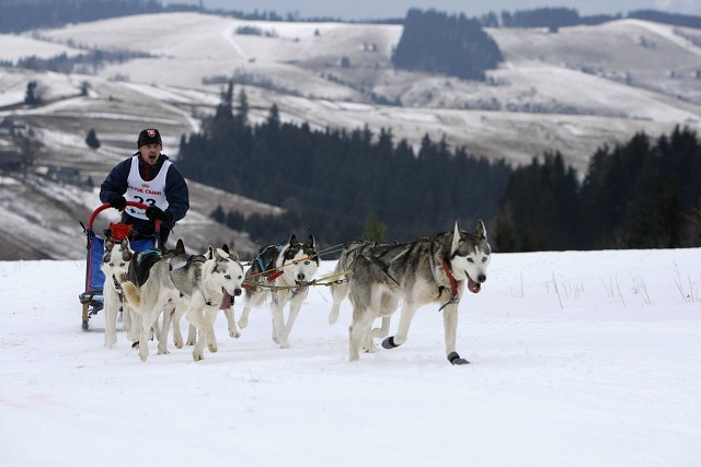 Kynologická revue - www.dogsk.sk