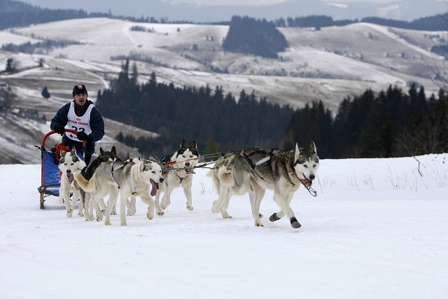 Kynologická revue - www.dogsk.sk