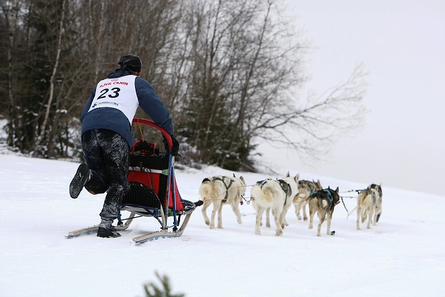 Kynologická revue - www.dogsk.sk