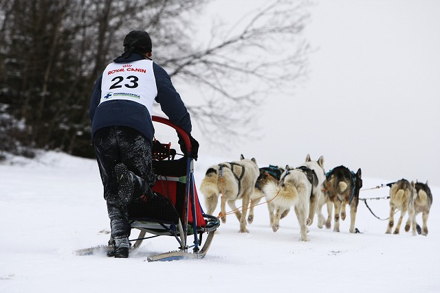 Kynologická revue - www.dogsk.sk