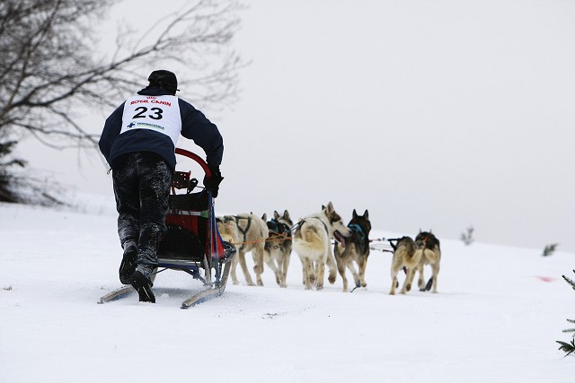 Kynologická revue - www.dogsk.sk