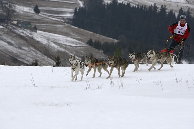 Kynologická revue - www.dogsk.sk