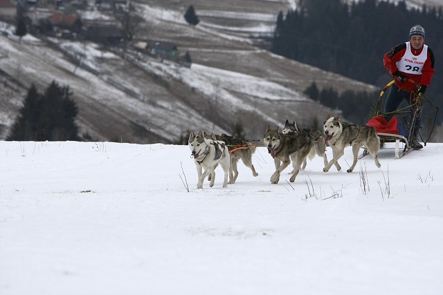 Kynologická revue - www.dogsk.sk