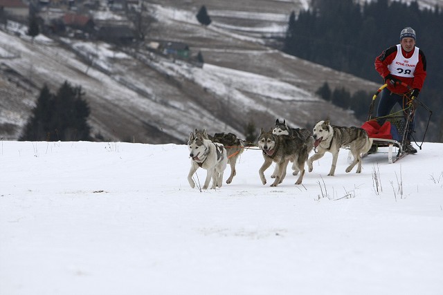 Kynologická revue - www.dogsk.sk