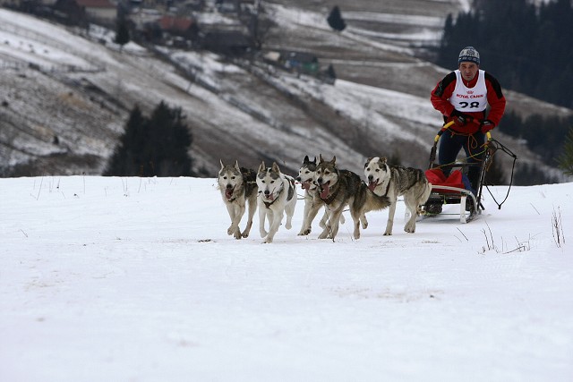 Kynologická revue - www.dogsk.sk