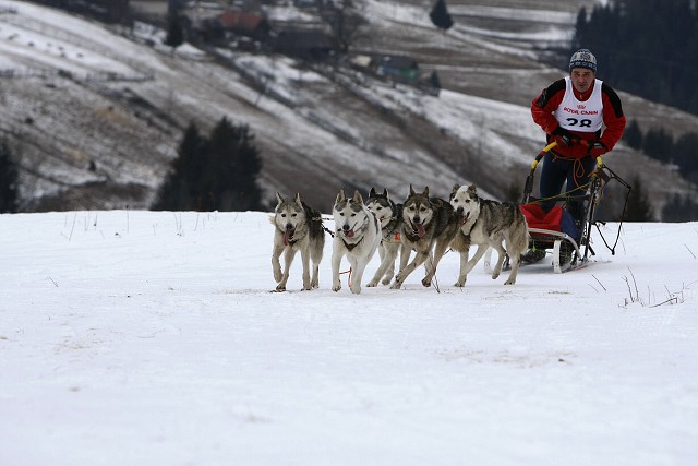 Kynologická revue - www.dogsk.sk