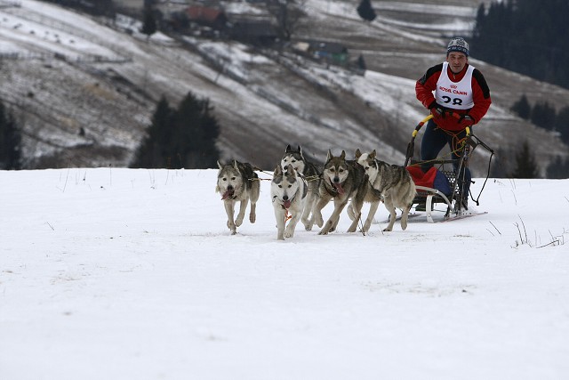 Kynologická revue - www.dogsk.sk