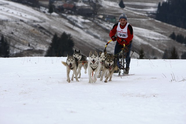 Kynologická revue - www.dogsk.sk