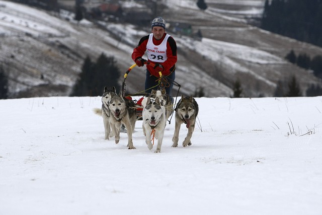 Kynologická revue - www.dogsk.sk