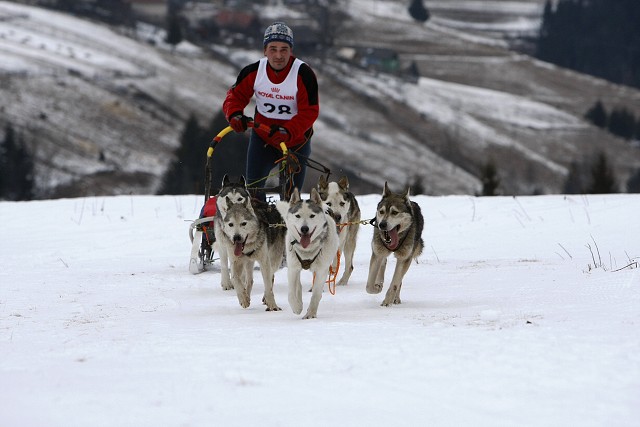 Kynologická revue - www.dogsk.sk