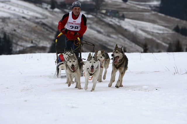 Kynologická revue - www.dogsk.sk