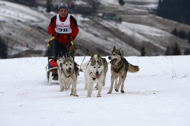 Kynologická revue - www.dogsk.sk