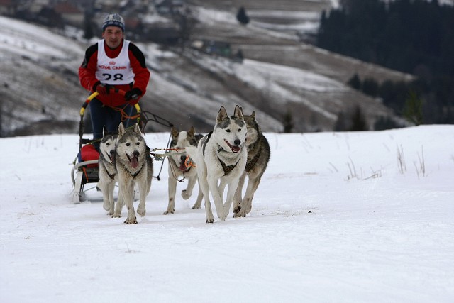 Kynologická revue - www.dogsk.sk