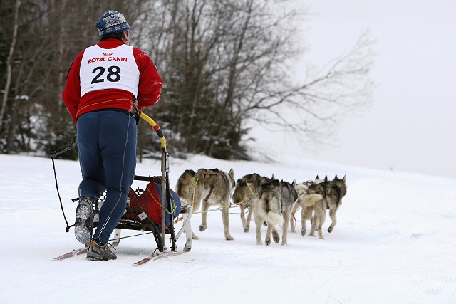 Kynologická revue - www.dogsk.sk