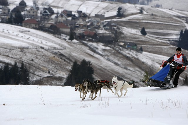 Kynologická revue - www.dogsk.sk
