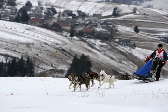 Kynologická revue - www.dogsk.sk