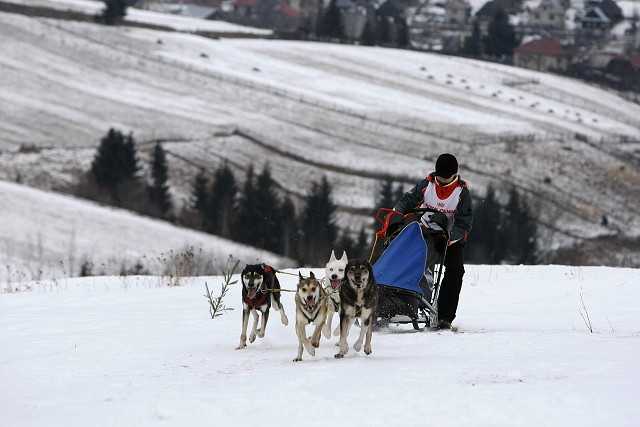 Kynologická revue - www.dogsk.sk