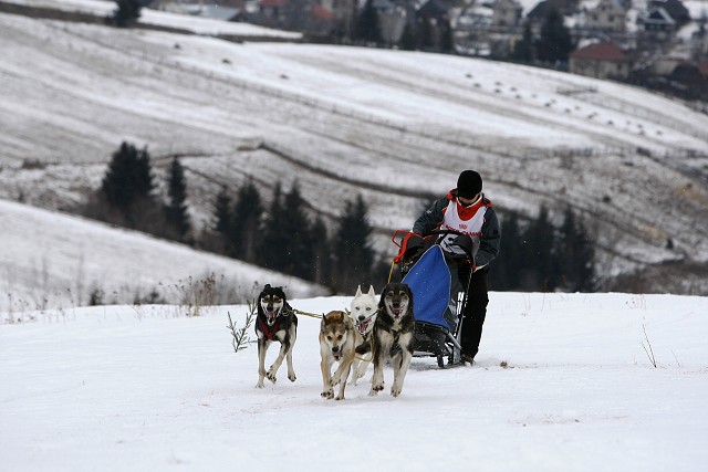 Kynologická revue - www.dogsk.sk
