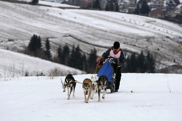 Kynologická revue - www.dogsk.sk