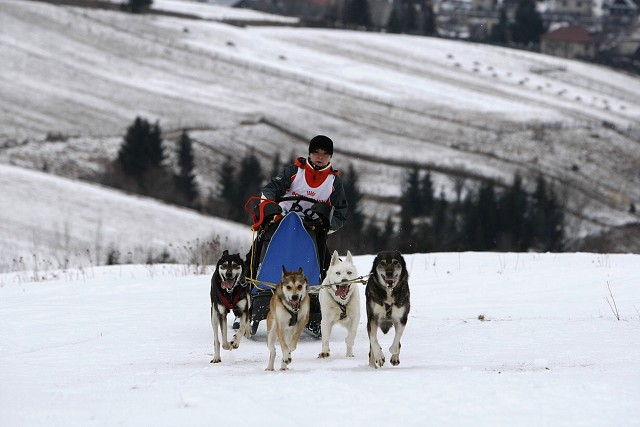 Kynologická revue - www.dogsk.sk
