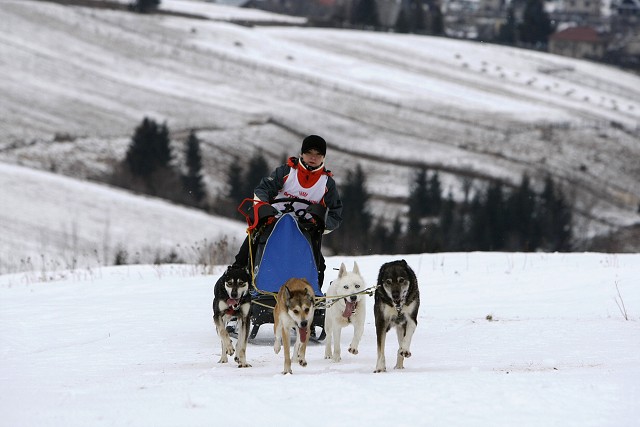 Kynologická revue - www.dogsk.sk
