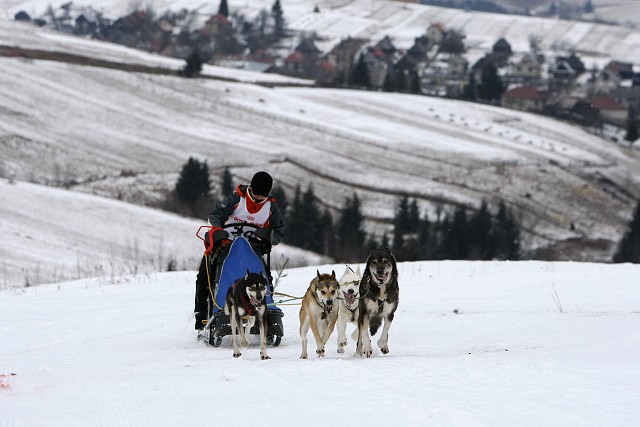 Kynologická revue - www.dogsk.sk