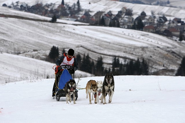 Kynologická revue - www.dogsk.sk