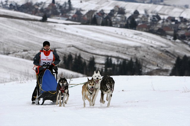 Kynologická revue - www.dogsk.sk