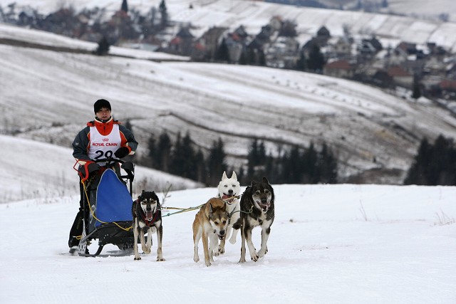 Kynologická revue - www.dogsk.sk