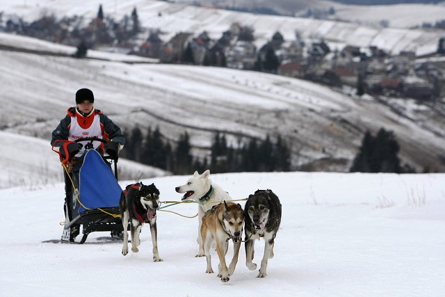 Kynologická revue - www.dogsk.sk