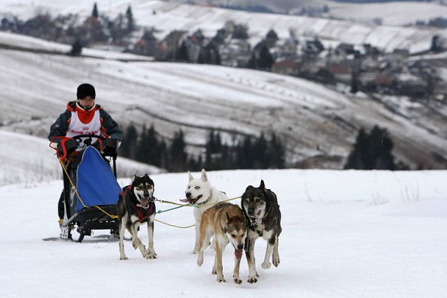 Kynologická revue - www.dogsk.sk