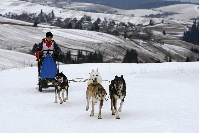 Kynologická revue - www.dogsk.sk