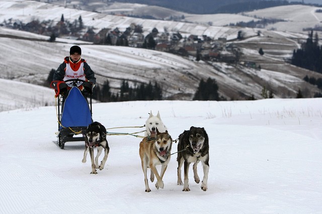 Kynologická revue - www.dogsk.sk