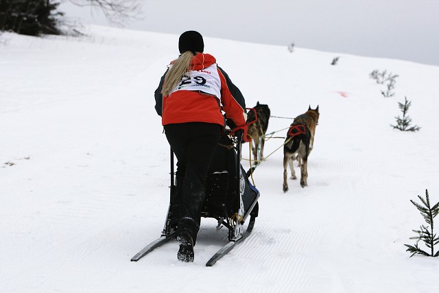 Kynologická revue - www.dogsk.sk
