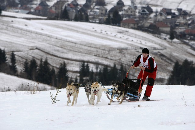 Kynologická revue - www.dogsk.sk