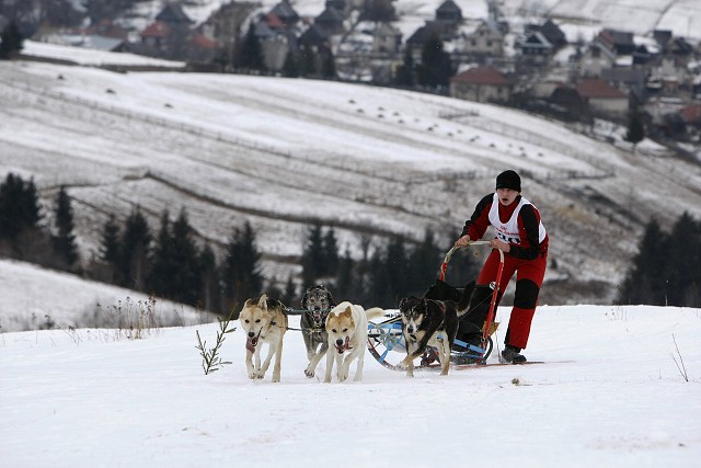 Kynologická revue - www.dogsk.sk